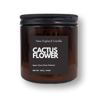 Cactus Flower